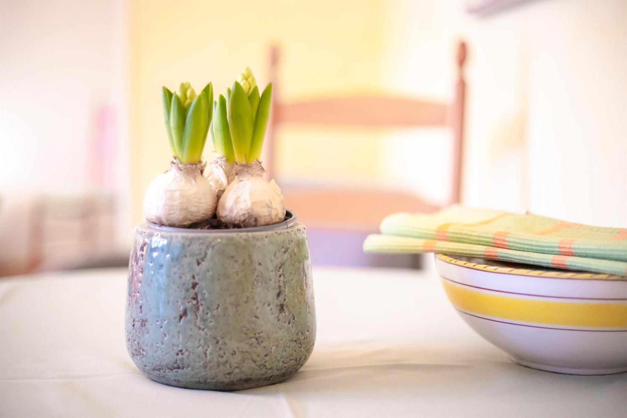 Ferienwohnung Familie Weihe Reppenstedt エクステリア 写真
